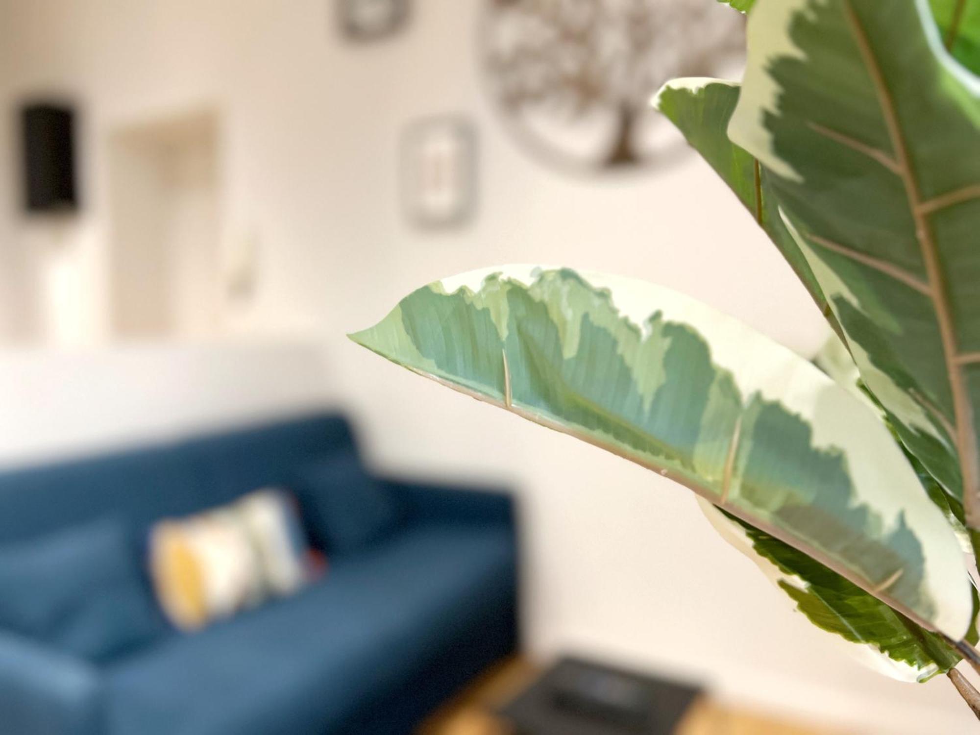 Beauconcept Lägenhet Nantes Exteriör bild